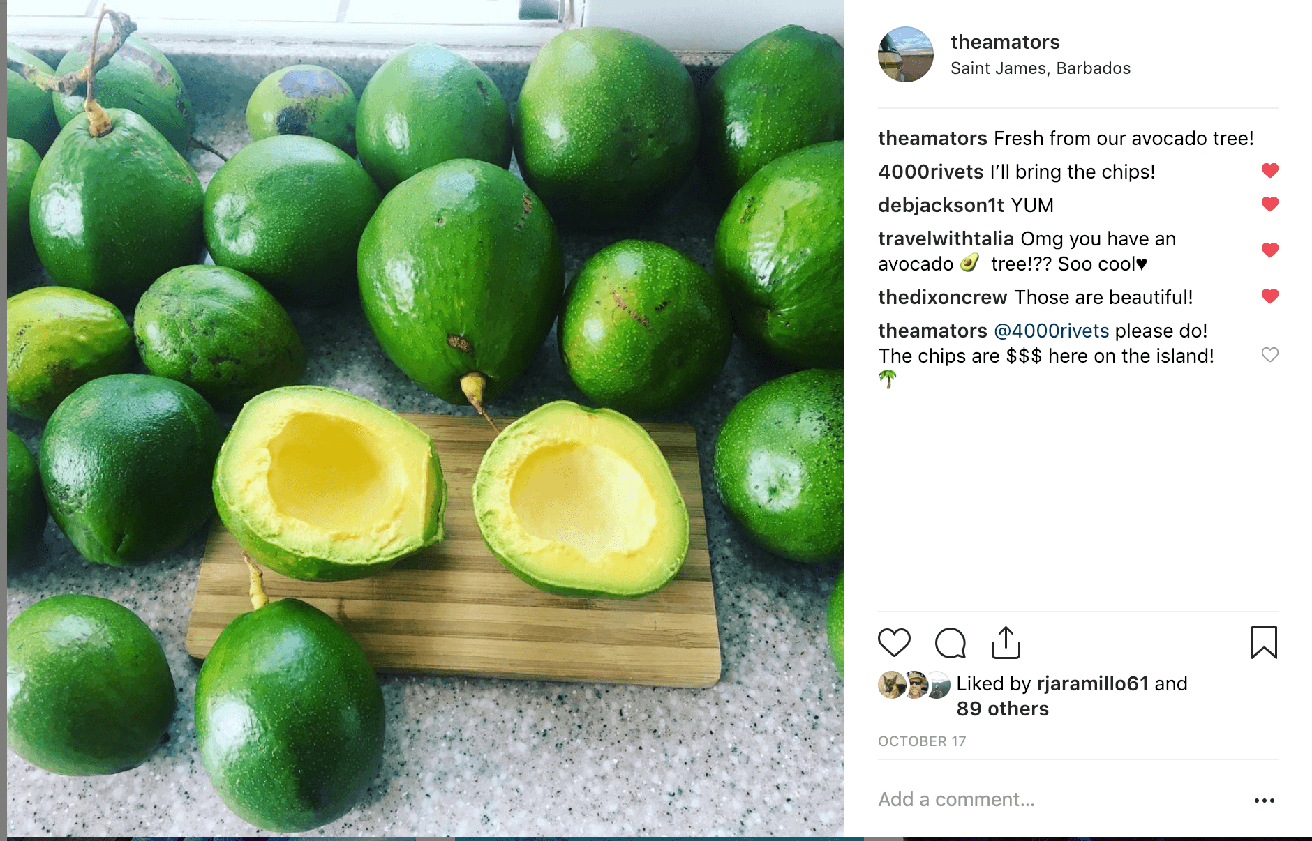 Screen Shot 2018-12-23 at 9.37.41 AM barbados avocados for free